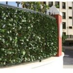 ARELLE SEMPREVERDI LAURO MT.1,00X3,00