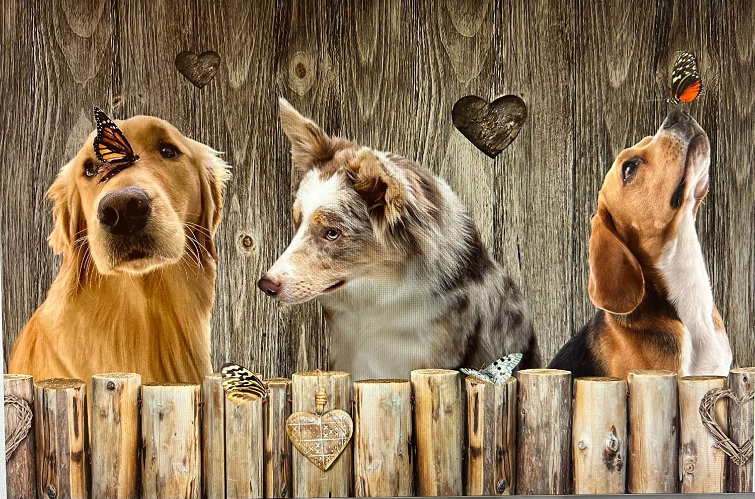 Image TAPPETO ANTISCIVOLO CANI E FARFELLE 52X300 - immagine 1