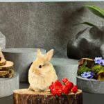 TAPPETO ANTISCIVOLO CONIGLIETTI3D 52X100