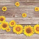 TAPPETO ANTISCIVOLO GIRASOLI IN LEGNO 52X400