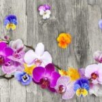 TAPPETO ANTISCIVOLO ORCHIDEA 52X250