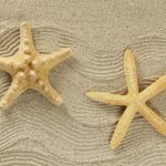 TAPPETO ANTISCIVOLO STELLA MARINA 52X250