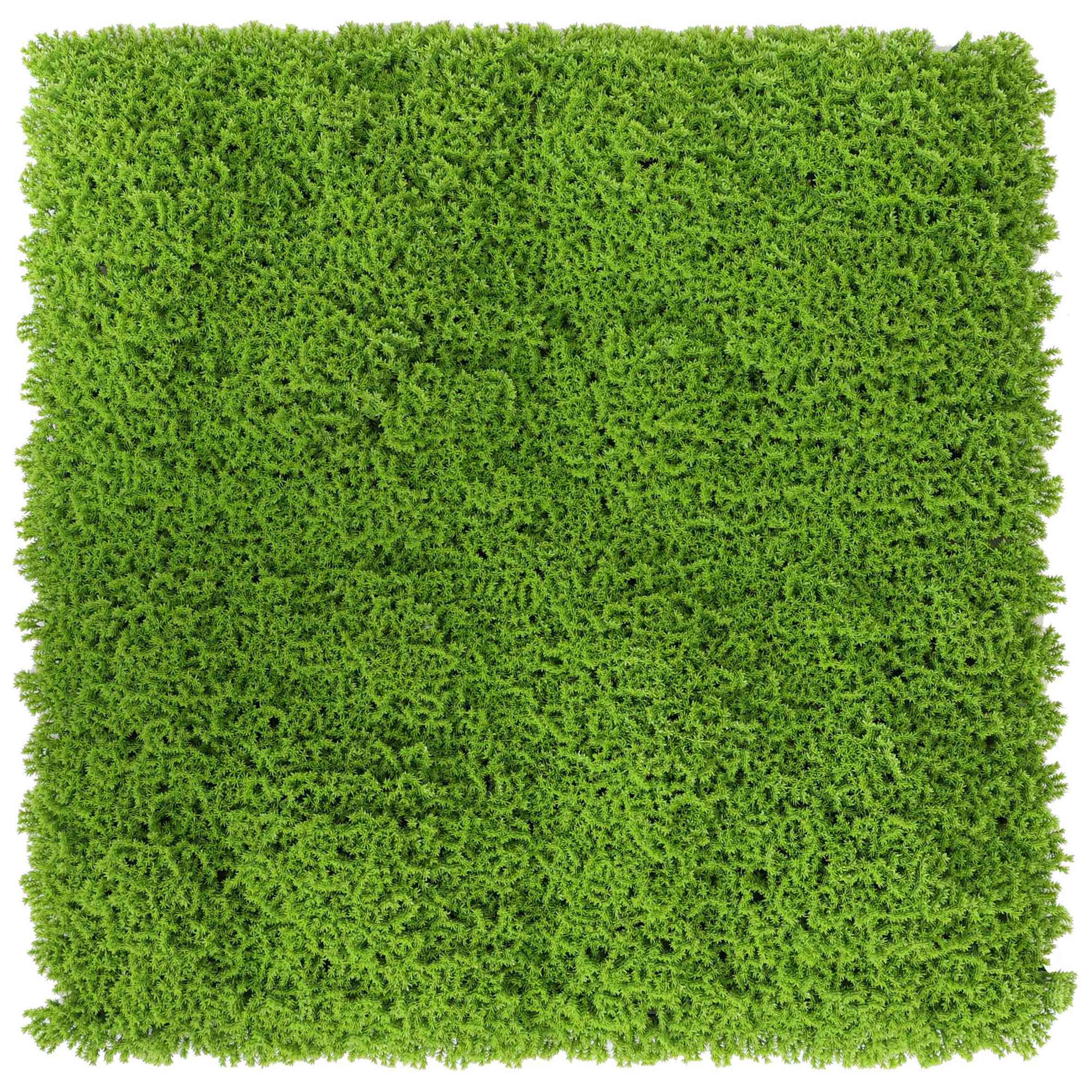 Image SIEPE ARTIFICIALE CM.100X100 MOD.GREEN MUSCHIO - immagine 1