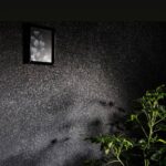 GRAESAN EUPHORIA ARGENTO KG.4 - immagine 2