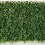 SIEPE ARELLA CON STECCATO IN LEGNO SEMPREVERDE MT.1X2